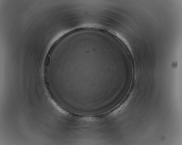 X0000092001037200709271504