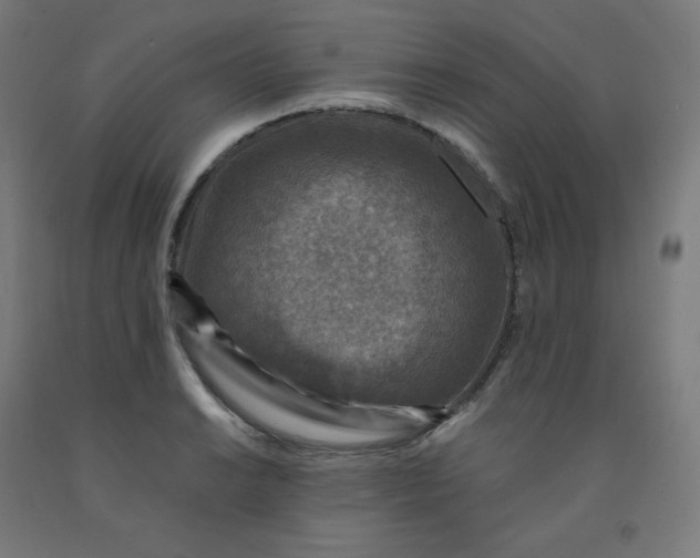 X0000092001038200709271504