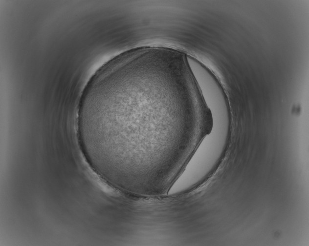 X0000092001040200709271504