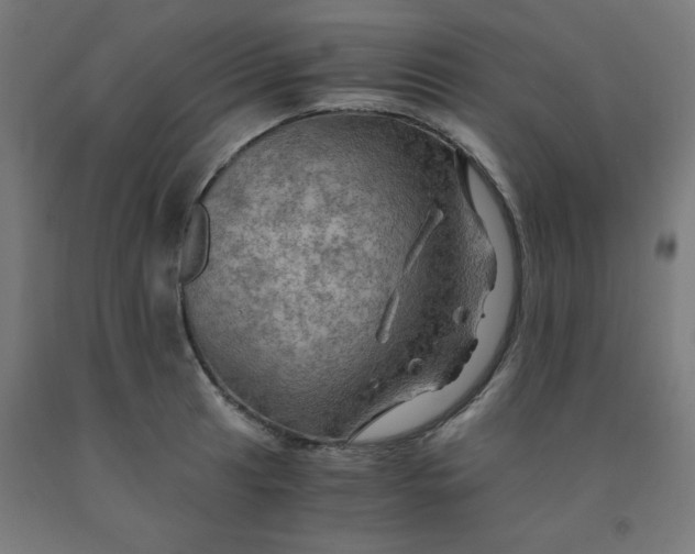 X0000092001041200709271504