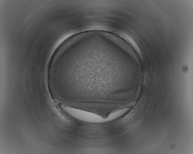 X0000092001043200709271504