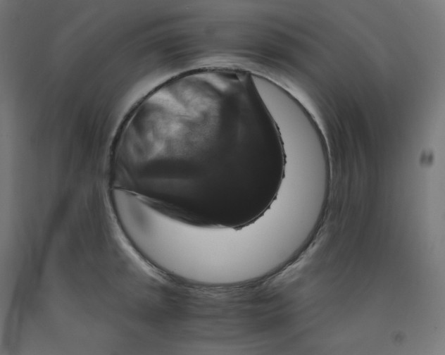 X0000092001045200709271504