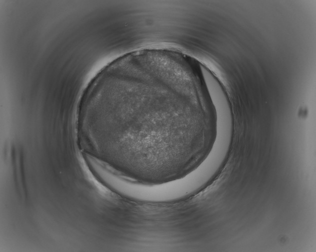 X0000092001046200709271504