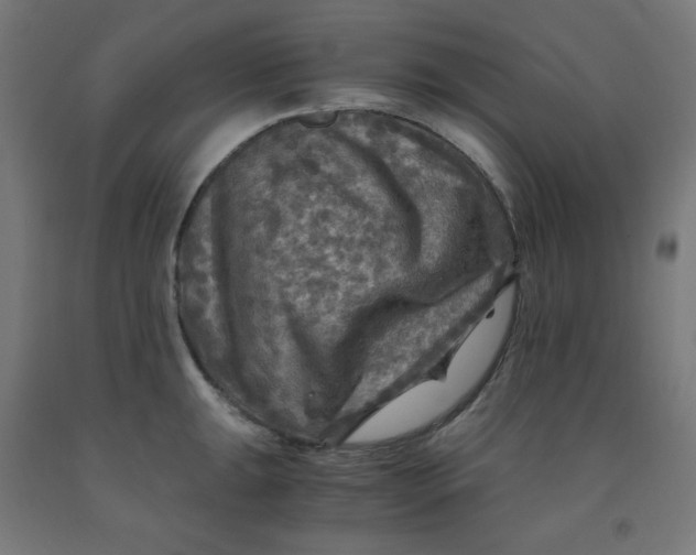 X0000092001047200709271504