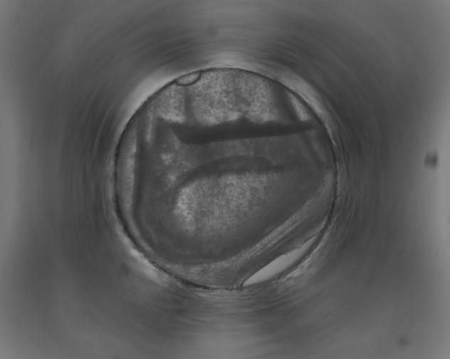 X0000092001048200709271504