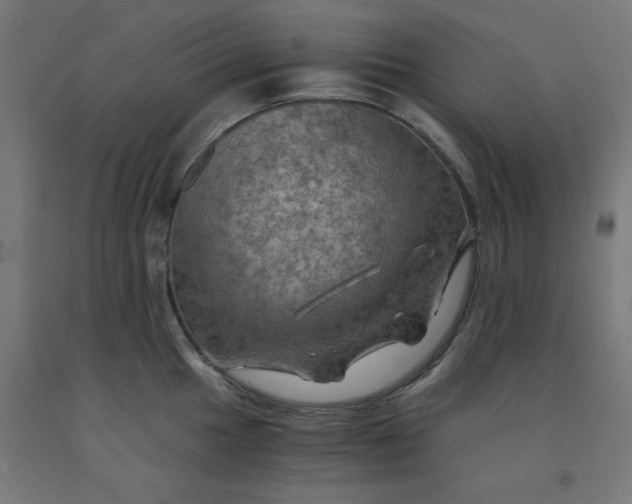 X0000092001049200709271504