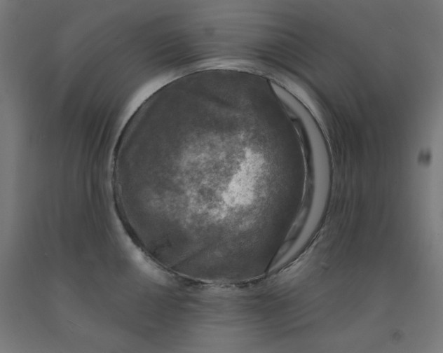 X0000092001050200709271504