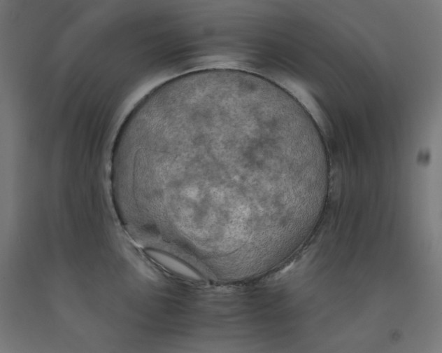 X0000092001051200709271504