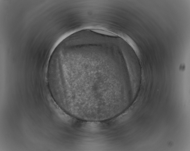 X0000092001052200709271504