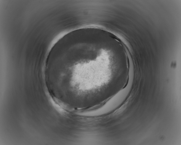 X0000092001054200709271504