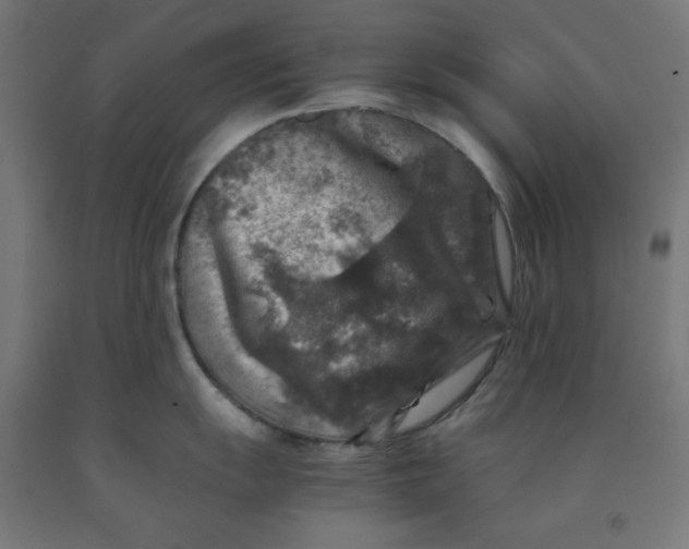 X0000092001055200709271504