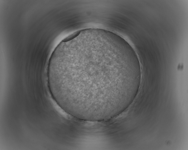 X0000092001056200709271504