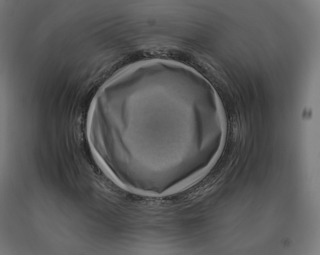 X0000092001060200709271503