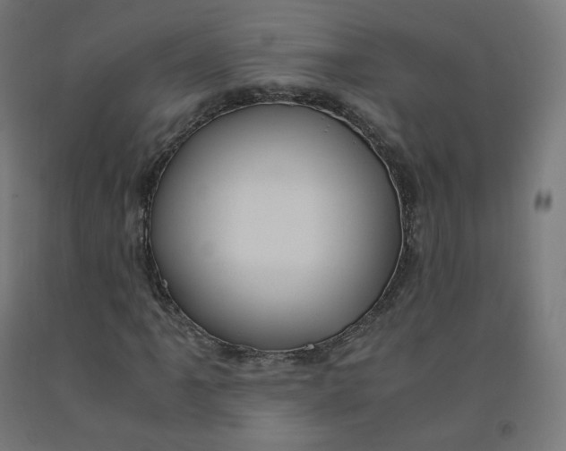 X0000092001061200709271503