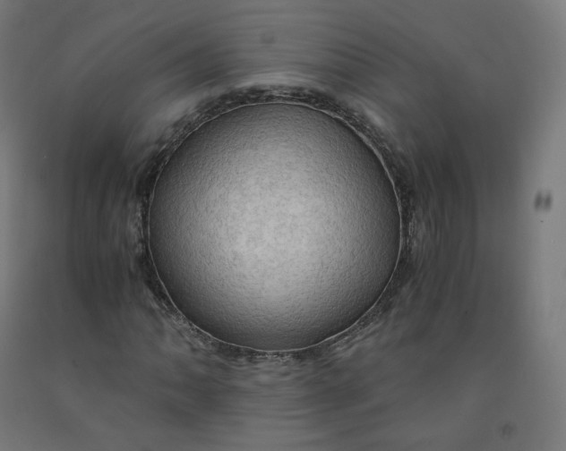 X0000092001062200709271503