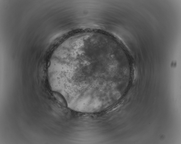 X0000092001063200709271503