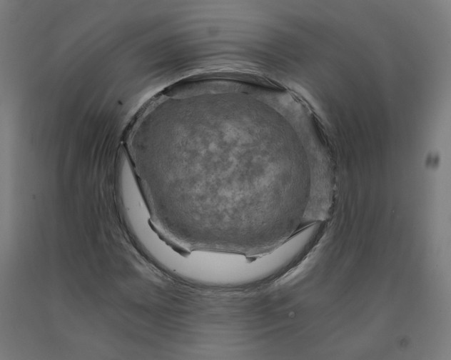 X0000092001065200709271503