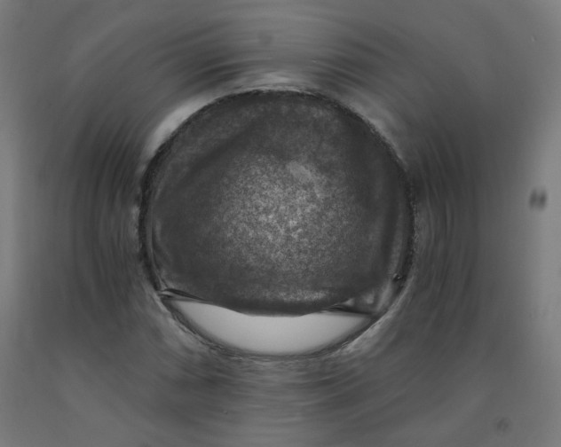 X0000092001066200709271503