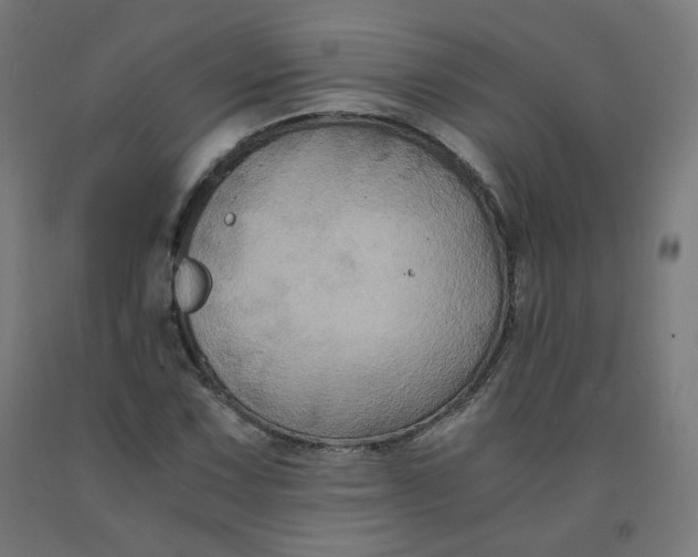 X0000092001067200709271503