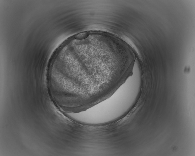 X0000092001068200709271503