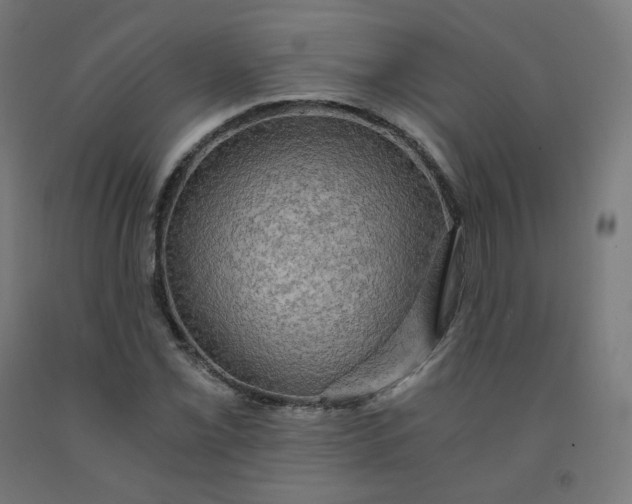 X0000092001069200709271503