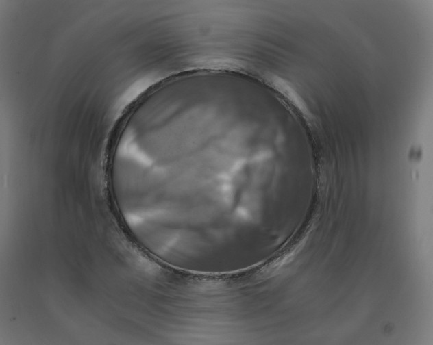 X0000092001071200709271503