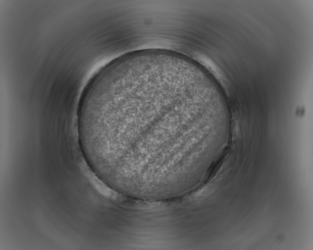 X0000092001072200709271503