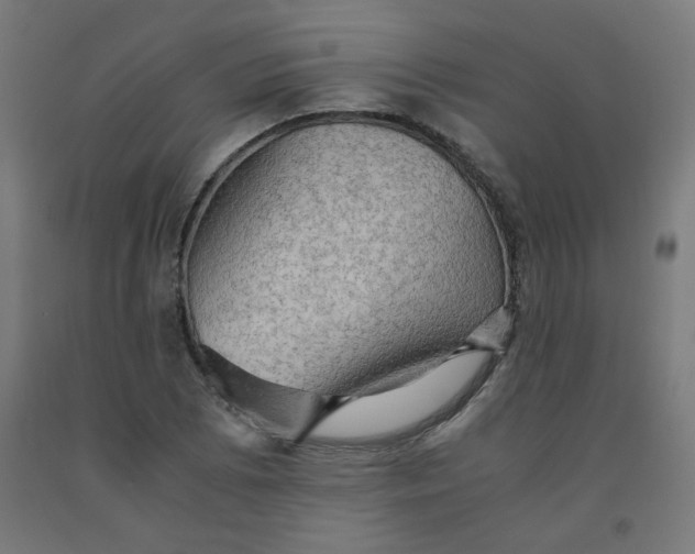 X0000092001073200709271503