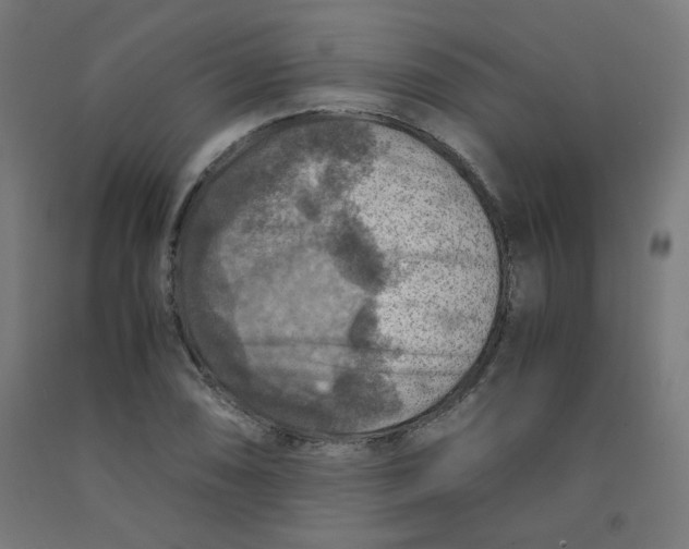 X0000092001074200709271503