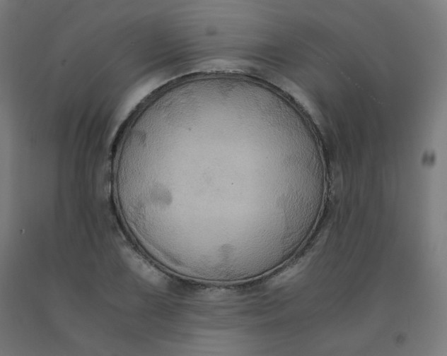 X0000092001075200709271503