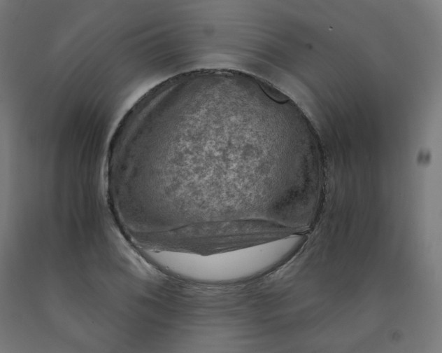 X0000092001076200709271503