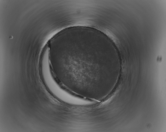 X0000092001077200709271503