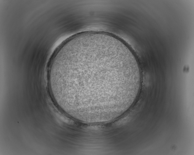 X0000092001078200709271503