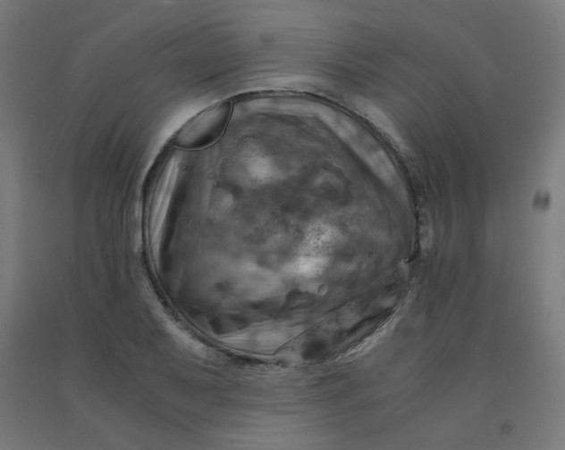 X0000092001079200709271503