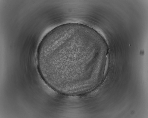 X0000092001080200709271503