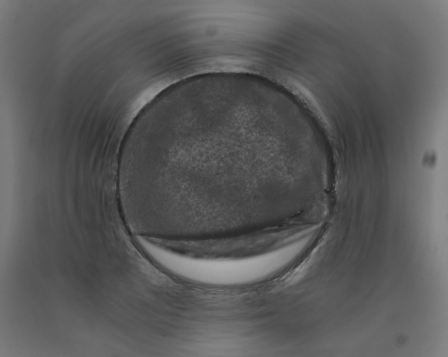 X0000092001081200709271503