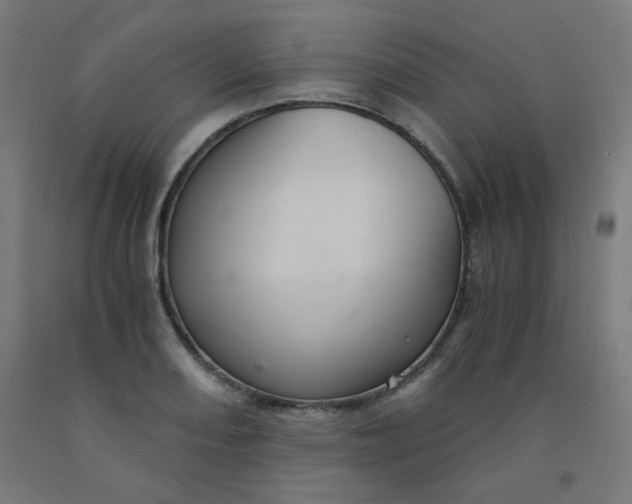 X0000092001082200709271503