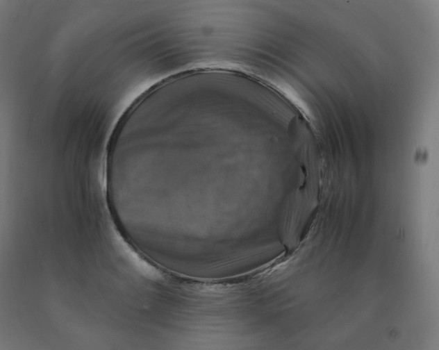 X0000092001084200709271503