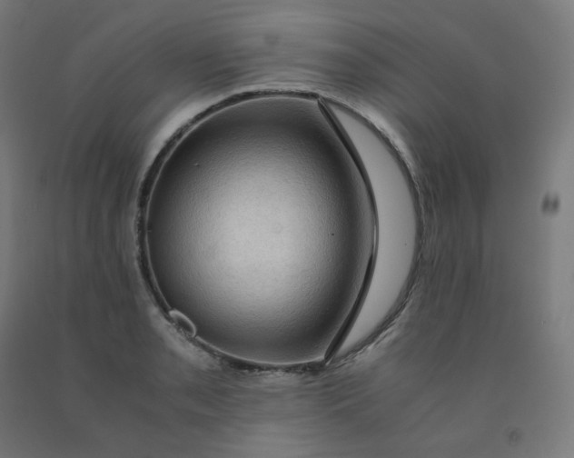 X0000092001085200709271503