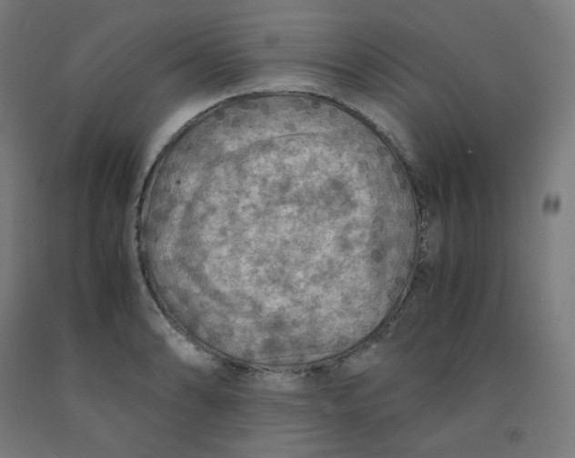 X0000092001086200709271503