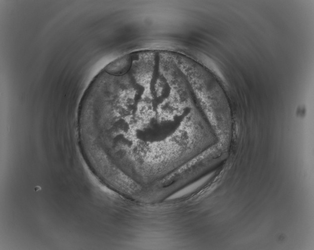 X0000092001087200709271503