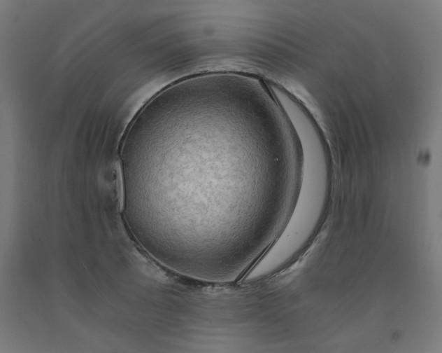 X0000092001089200709271503