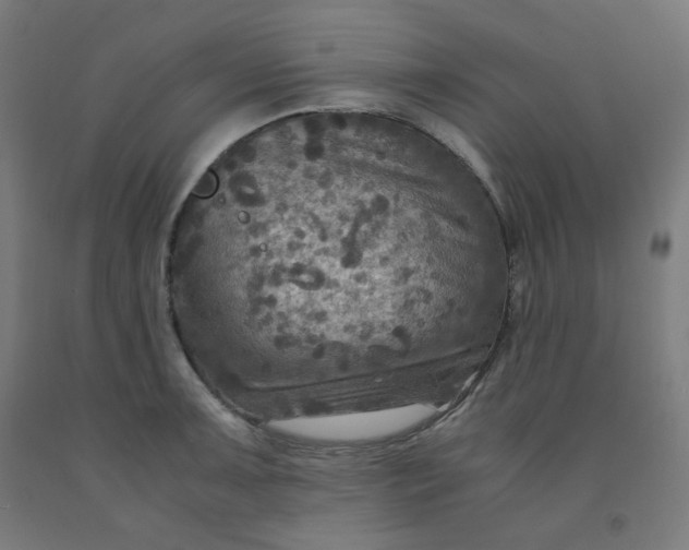 X0000092001091200709271503