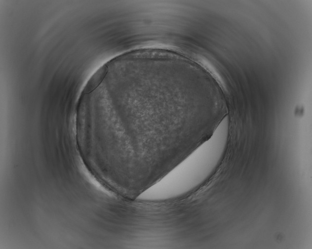 X0000092001092200709271503