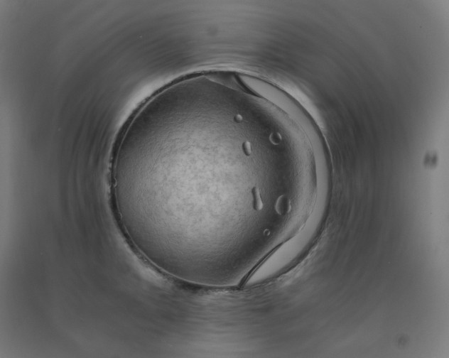 X0000092001093200709271503