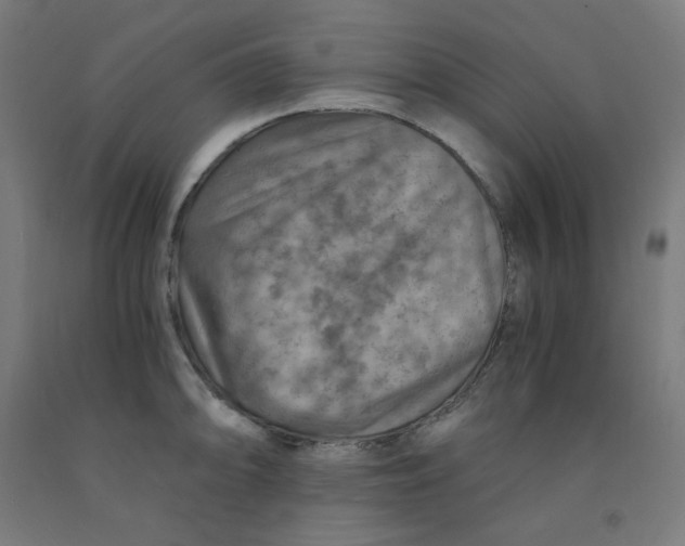 X0000092001094200709271503