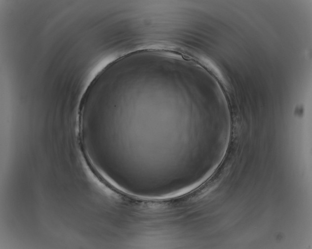 X0000092001095200709271503