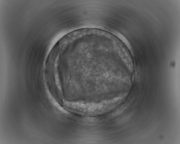 X0000092001096200709271503