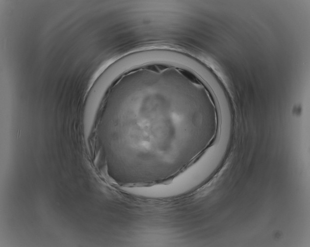 X0000092001097200709271503