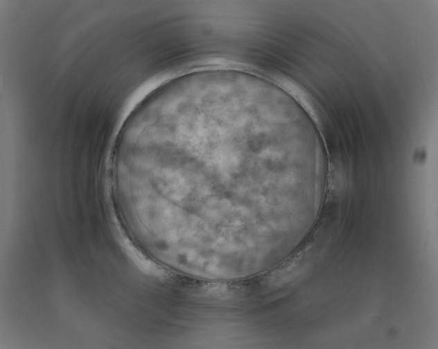 X0000092001098200709271503